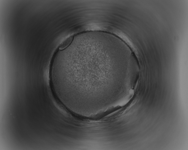 X0000093120438200710031337