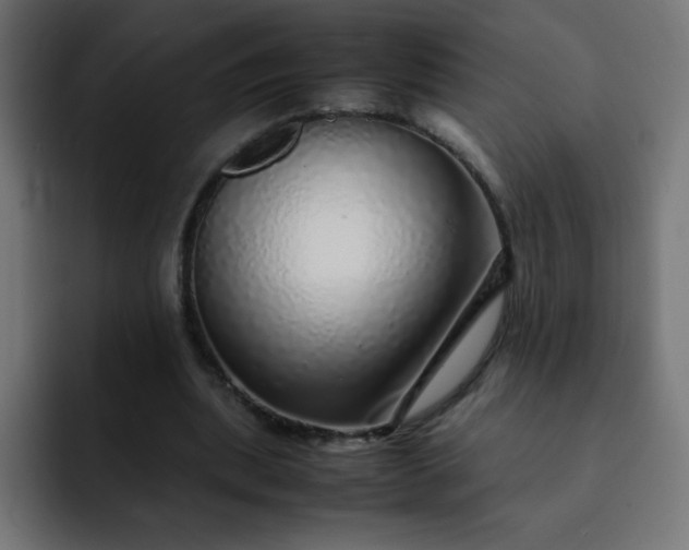 X0000093120439200710031337