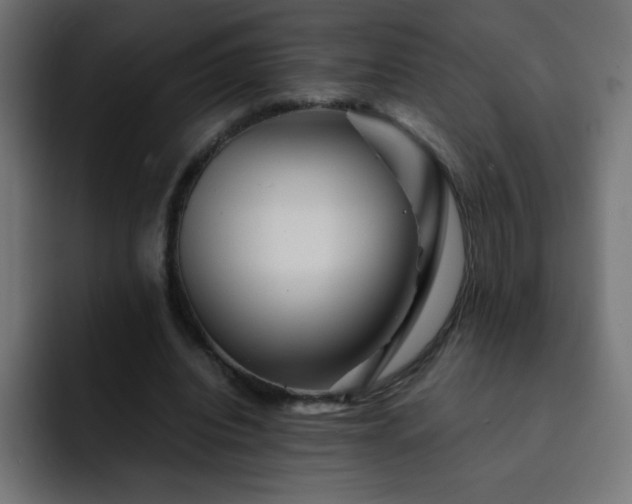 X0000093120440200710031337