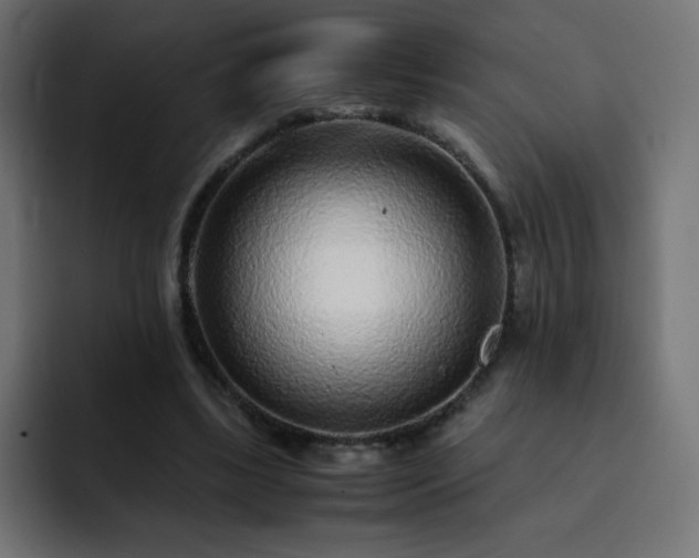 X0000093120443200710031337