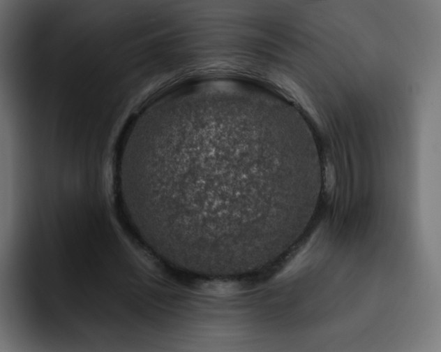 X0000093120444200710031337