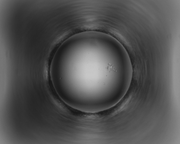 X0000093120446200710031337