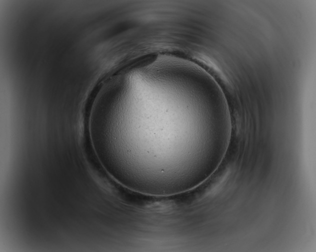 X0000093120447200710031337