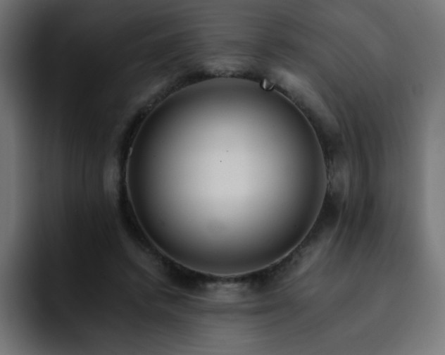 X0000093120448200710031337