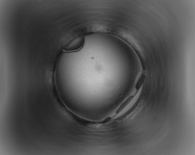 X0000093120449200710031337