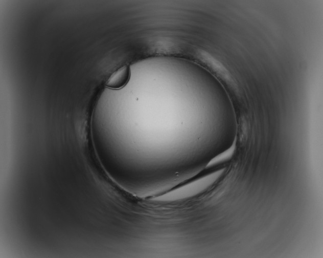 X0000093120450200710031337