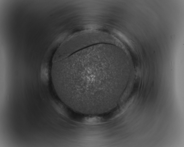 X0000093120452200710031337