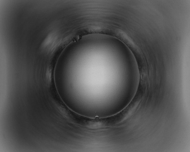 X0000093120454200710031337
