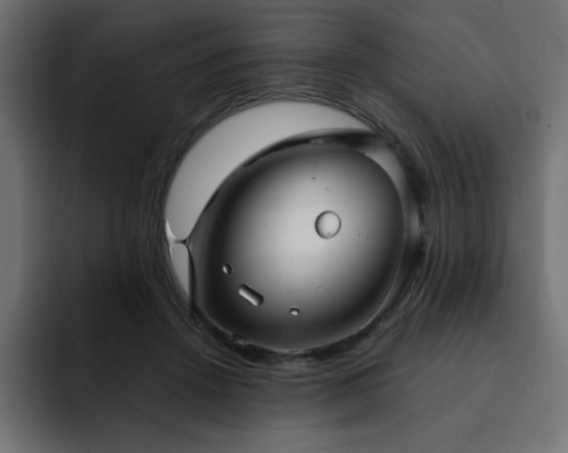 X0000093120456200710031337