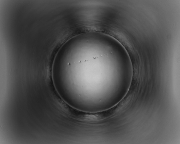 X0000093120457200710031337
