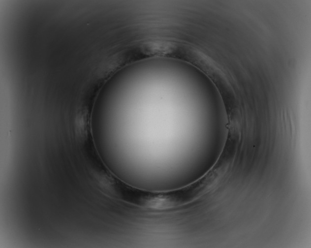 X0000093120460200710031337