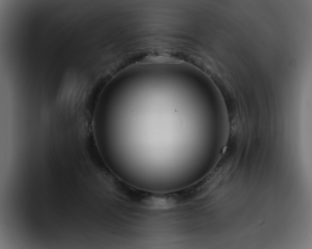 X0000093120464200710031337