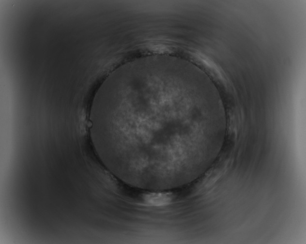 X0000093120465200710031337
