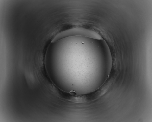 X0000093120466200710031337