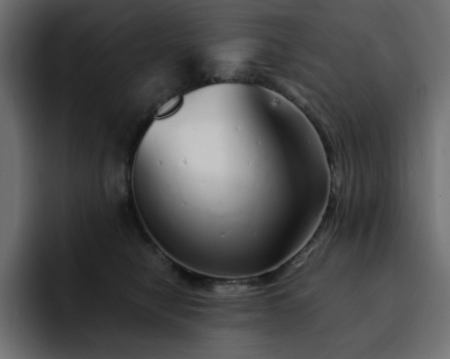 X0000093120470200710031337
