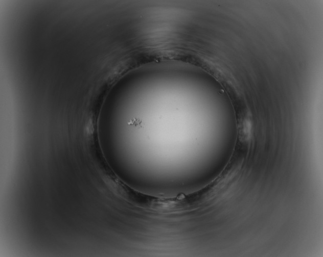 X0000093120472200710031337