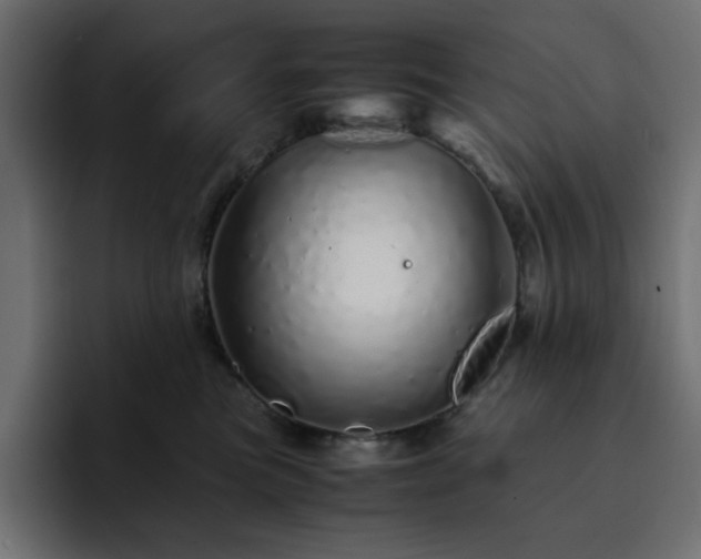 X0000093120473200710031337