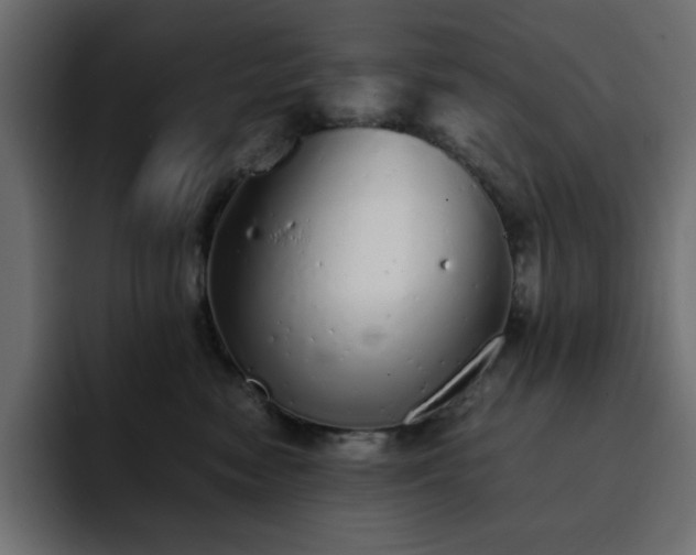 X0000093120474200710031337