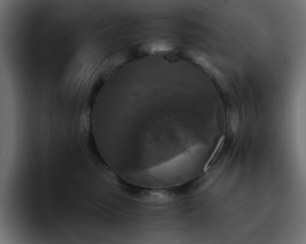 X0000093120475200710031337