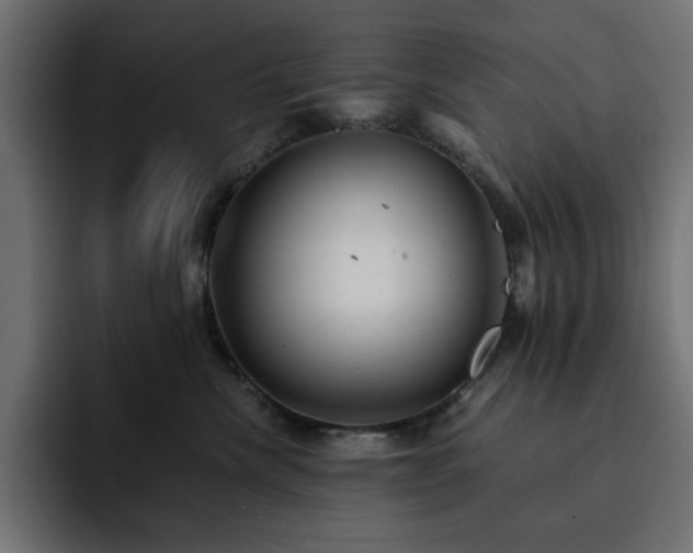 X0000093120476200710031337