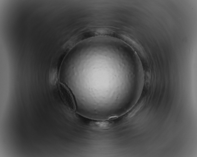 X0000093120478200710031337