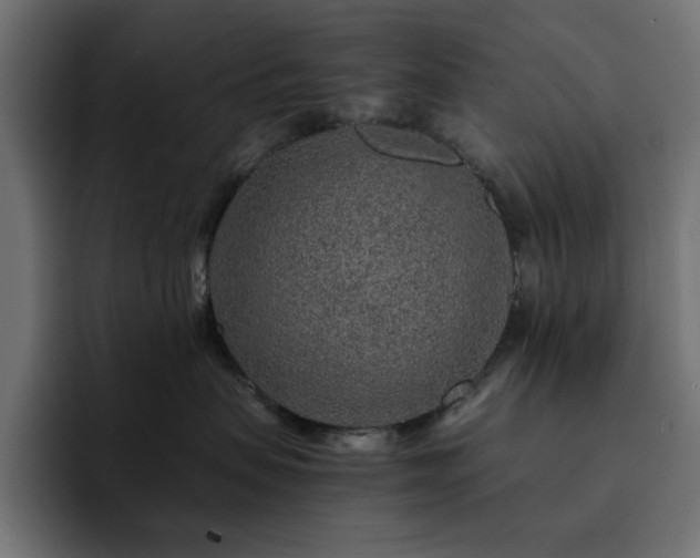X0000093120479200710031337