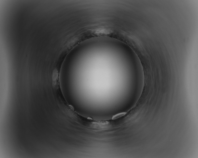 X0000093120480200710031337