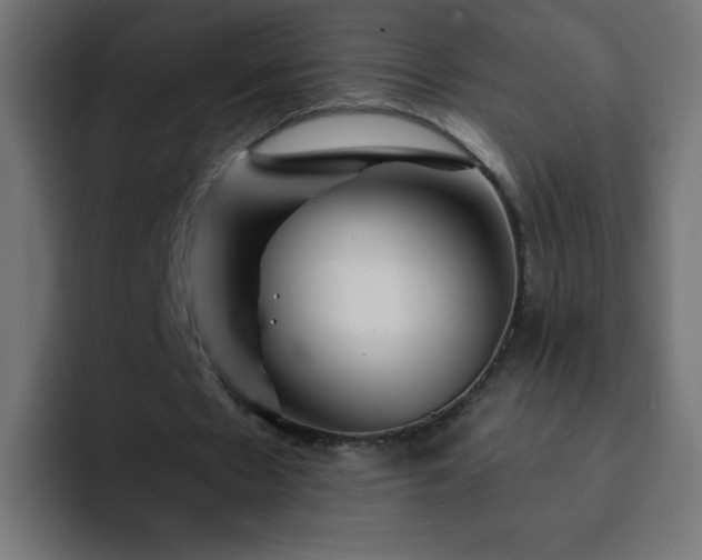 X0000093120481200710031336