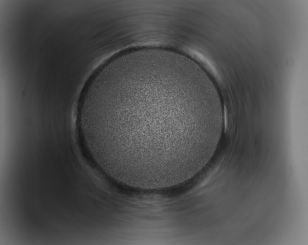 X0000093120483200710031336