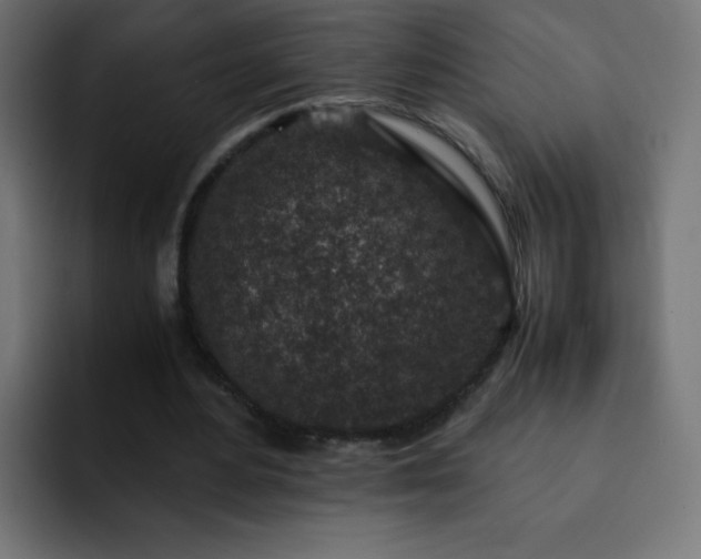 X0000093120484200710031336
