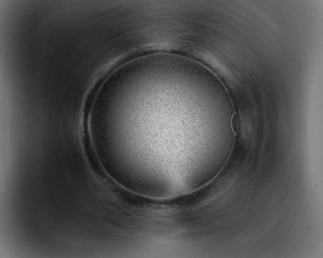 X0000093120486200710031336