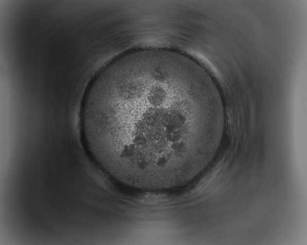 X0000093120487200710031336