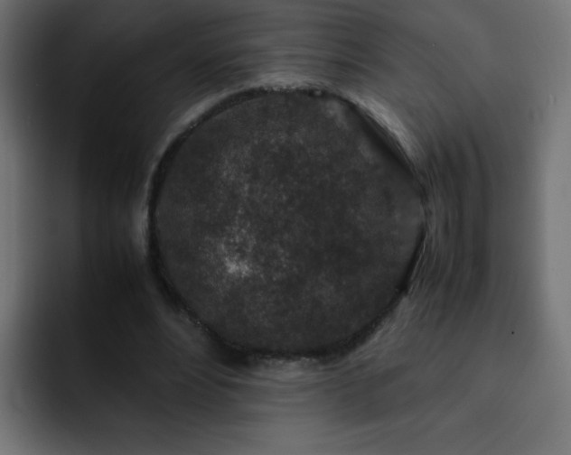 X0000093120488200710031336