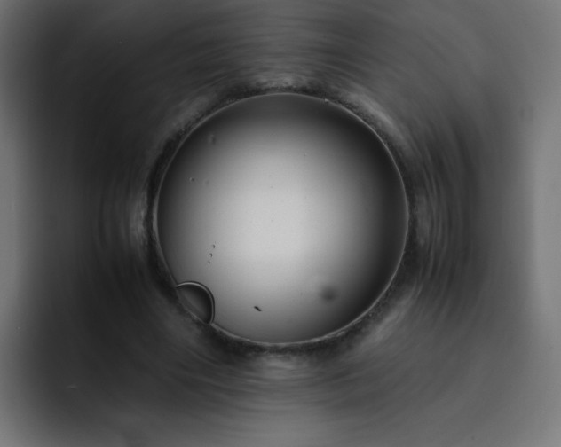 X0000093120490200710031336