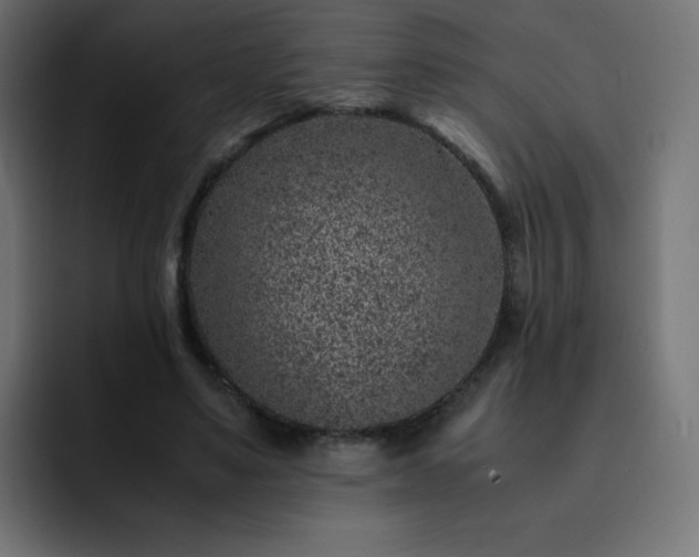 X0000093120491200710031336