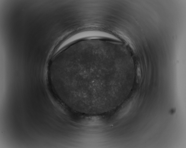 X0000093120492200710031336