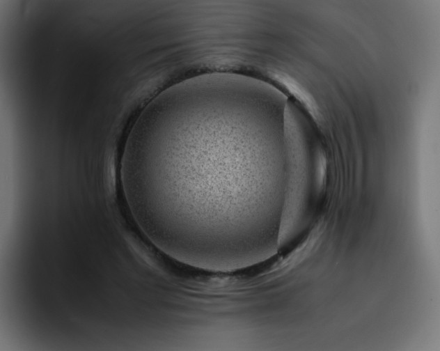 X0000093120493200710031336