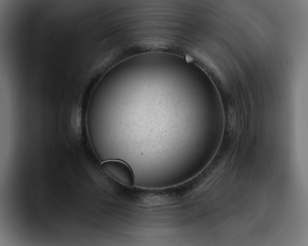 X0000093120494200710031336