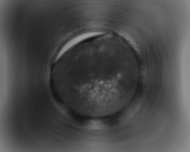 X0000093120496200710031336