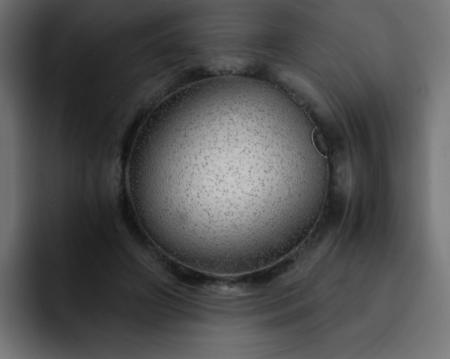 X0000093120498200710031336