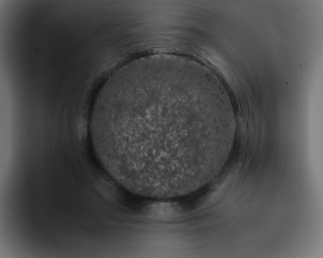 X0000093120499200710031336