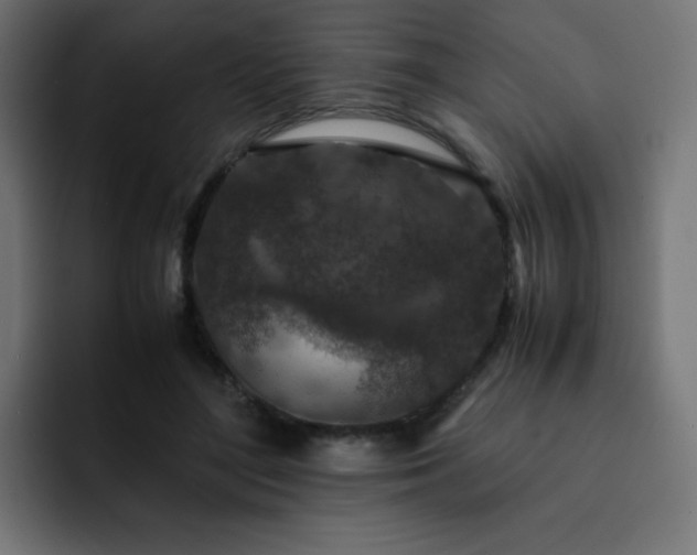 X0000093120500200710031336