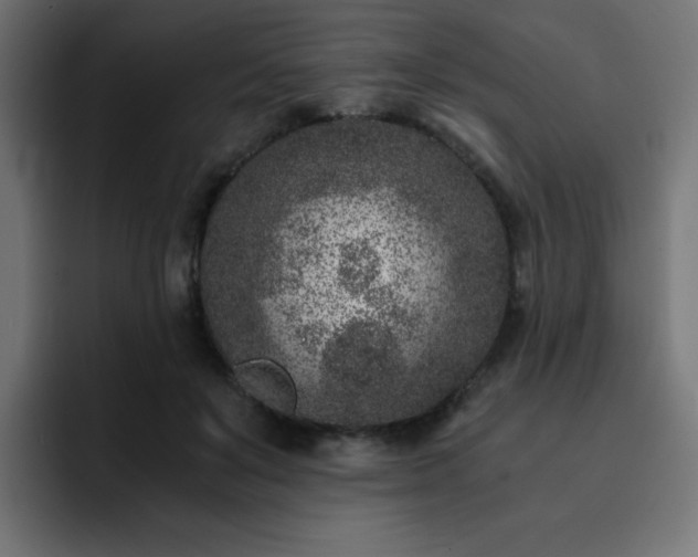 X0000093120503200710031336