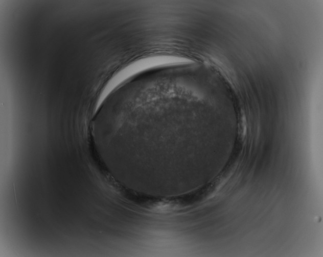 X0000093120504200710031336