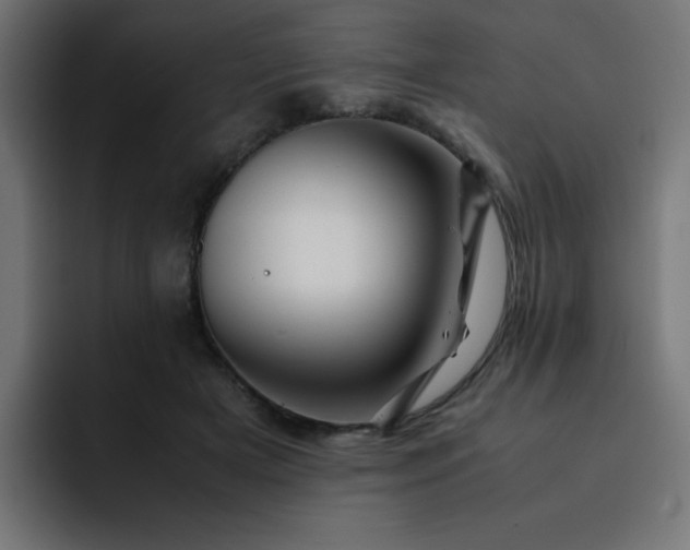 X0000093120505200710031336