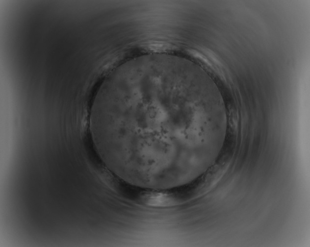 X0000093120507200710031336