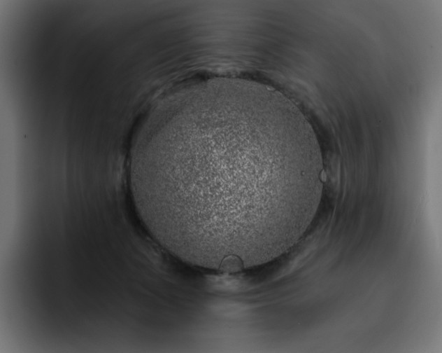 X0000093120511200710031336