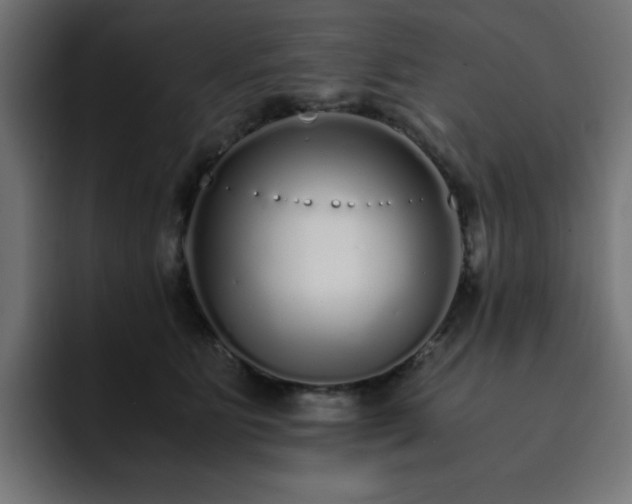 X0000093120515200710031336