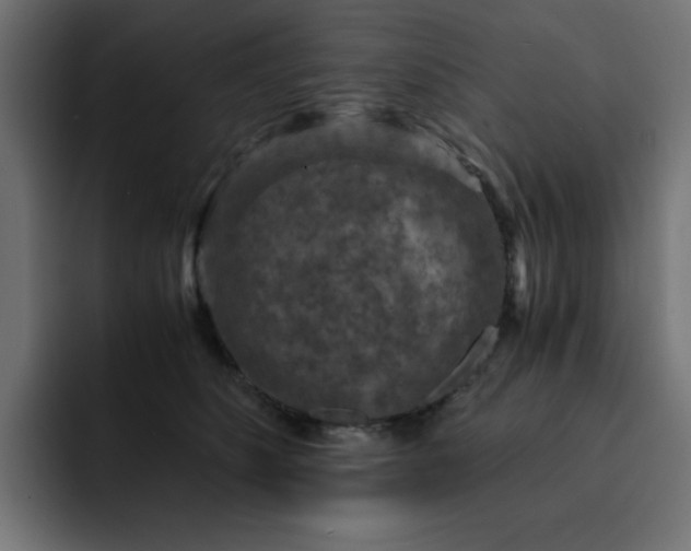 X0000093120516200710031336