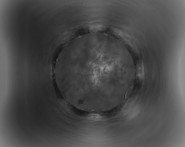 X0000093120519200710031336